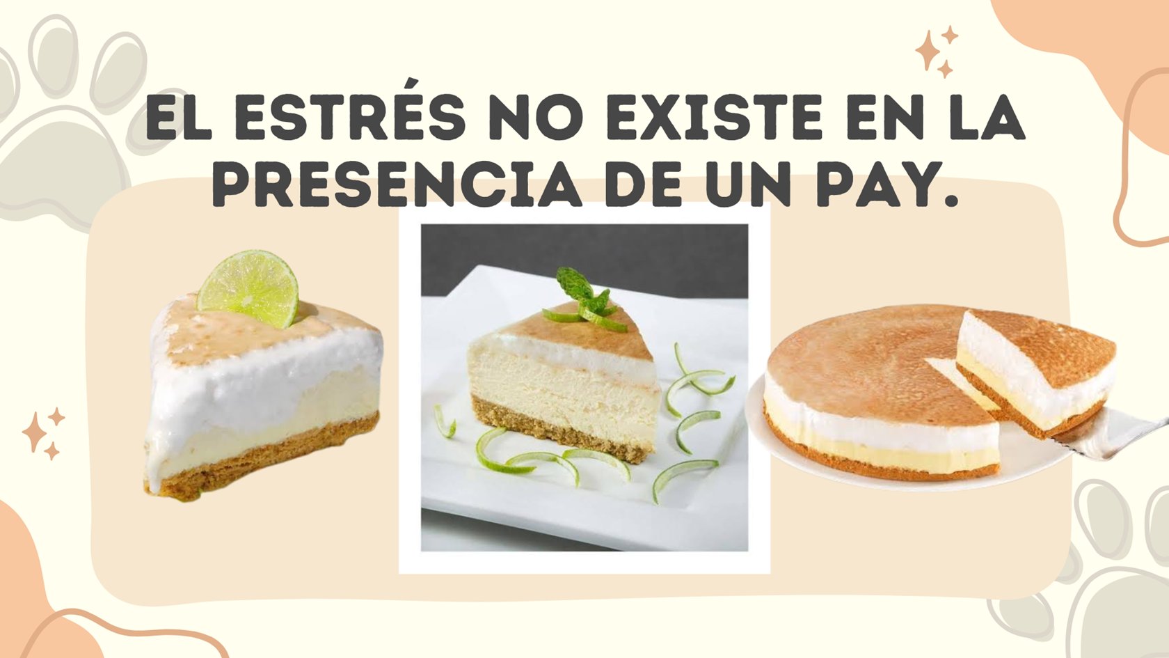 03 Friloo Cafe Banners Sitio Web Mayo 2026