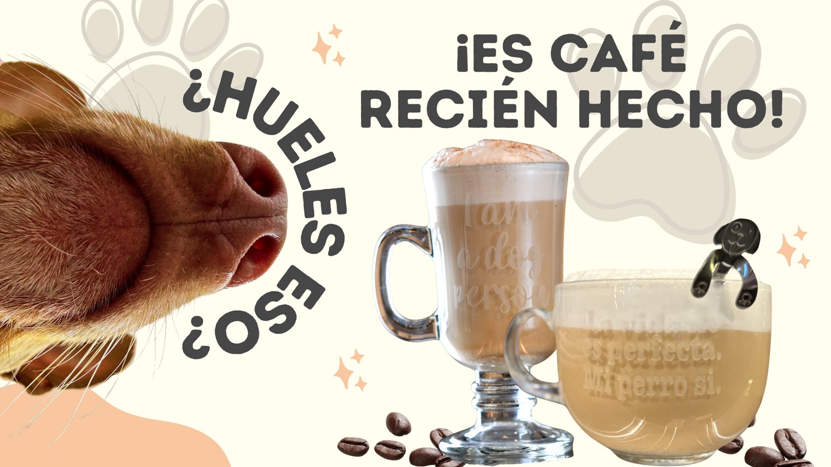 05 Friloo Cafe Banners Sitio Web Mayo 2026