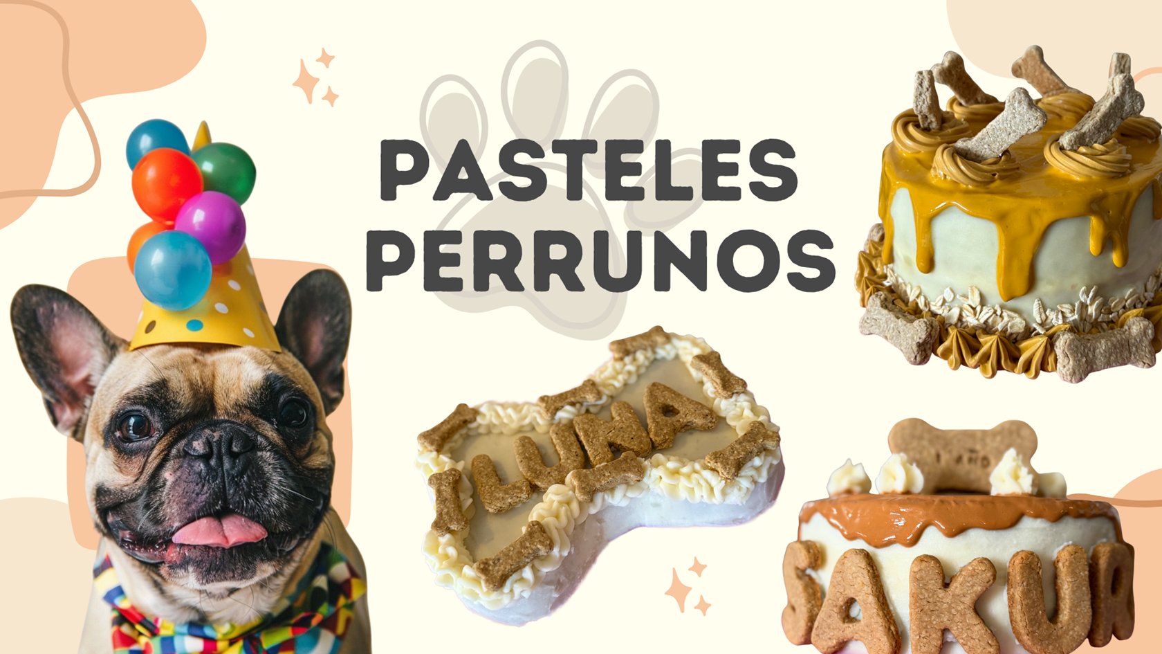 06 Friloo Cafe Banners Sitio Web Mayo 2026