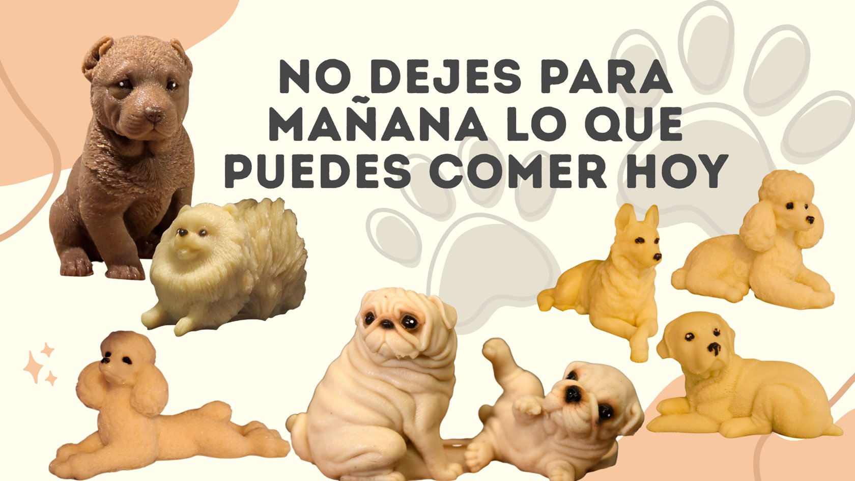 09 Friloo Cafe Banners Sitio Web Mayo 2026