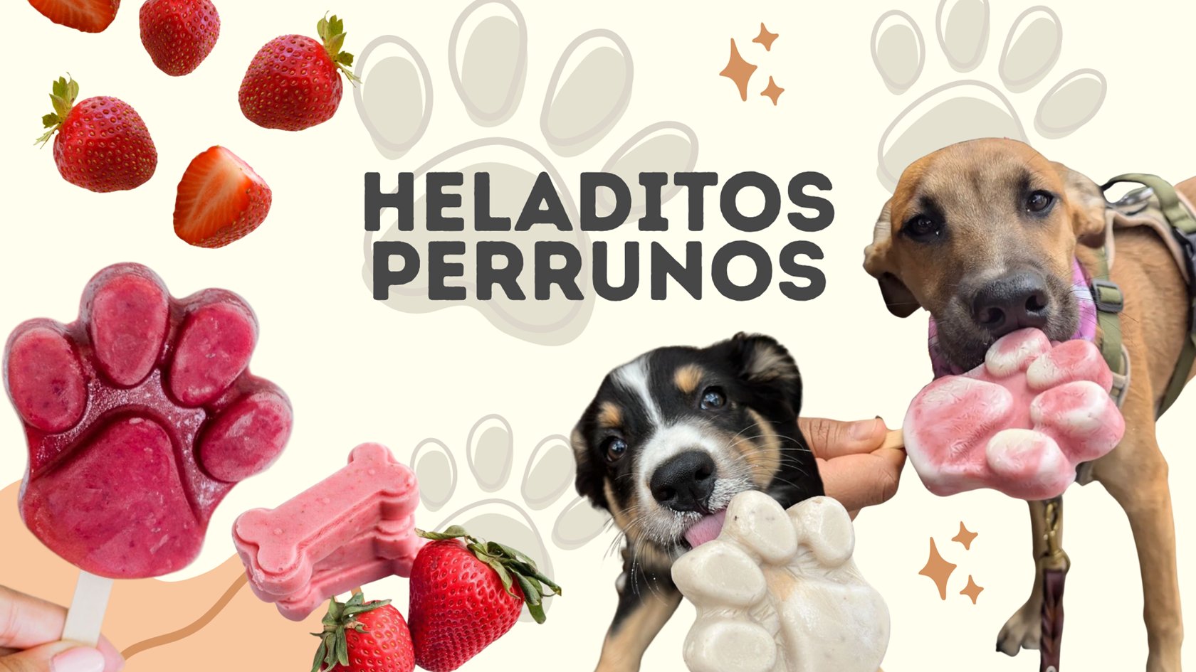 11 Friloo Cafe Banners Sitio Web Mayo 2026