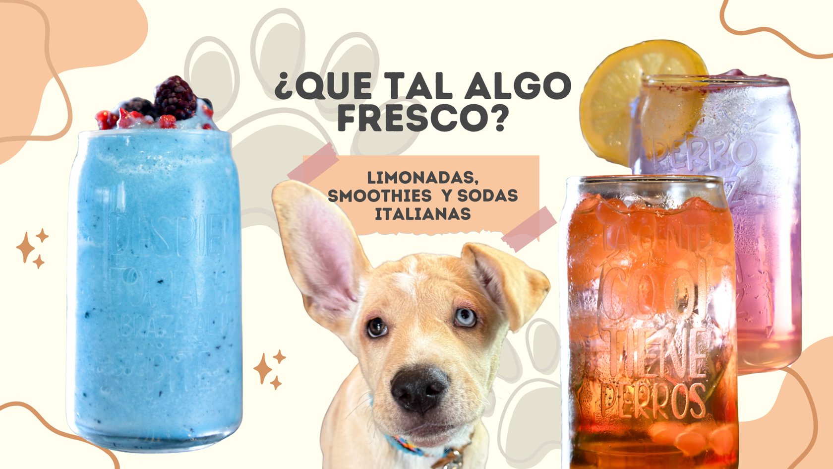 12 Friloo Cafe Banners Sitio Web Mayo 2026