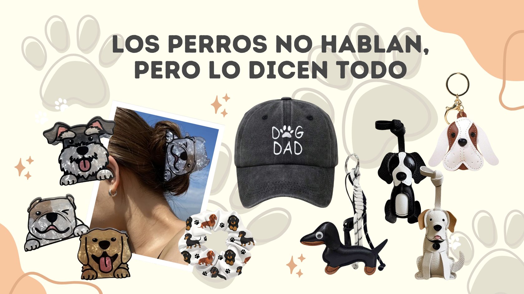 16 Friloo Cafe Banners Sitio Web Mayo 2026