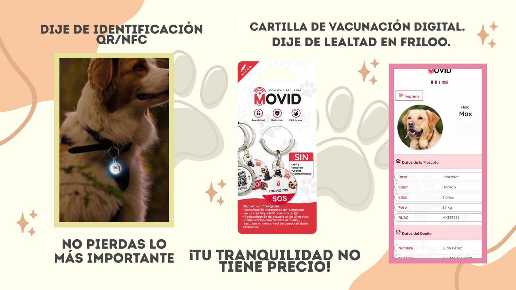 19 Friloo Cafe Banners Sitio Web Mayo 2026